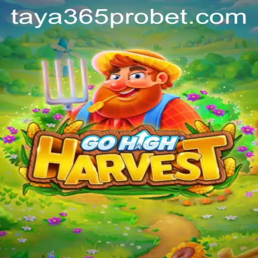 Exploring the Fascinating World of GoHighHarvest with Taya365 Pro