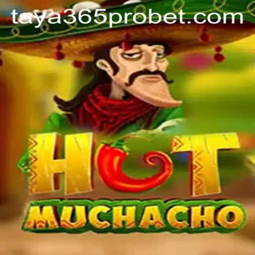 Exploring the Vibrant World of HotMuchacho with Taya365 Pro