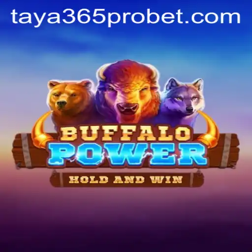 Exploring BuffaloPower: Taya365 Pro's New Gaming Experience