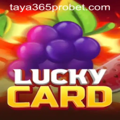 Exploring the Thrills of LuckyCard and the Rise of Taya365 Pro